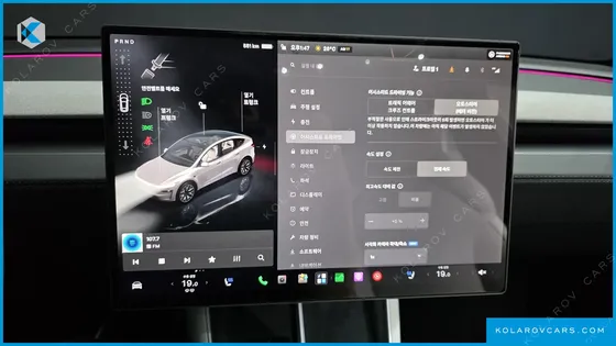 TESLA MODEL Y L LONG RANGE AWD