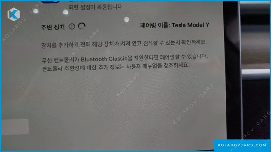 TESLA MODEL Y RWD