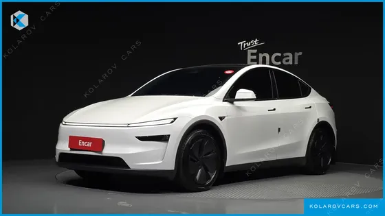 TESLA MODEL Y LONG RANGE AWD