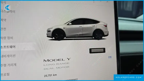 TESLA MODEL Y LONG RANGE AWD