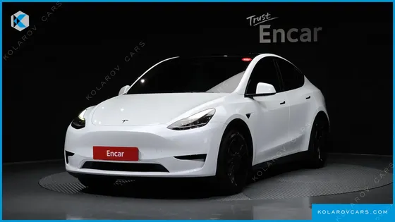 TESLA MODEL Y RWD