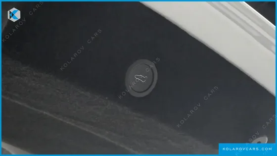 TESLA MODEL Y L LONG RANGE AWD