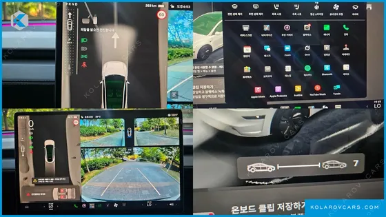 TESLA MODEL Y RWD