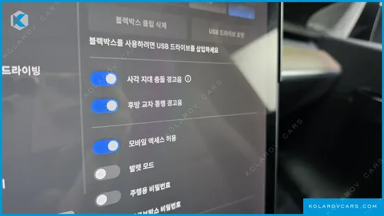 TESLA MODEL Y STANDARD RANGE RWD
