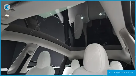 TESLA MODEL Y RWD