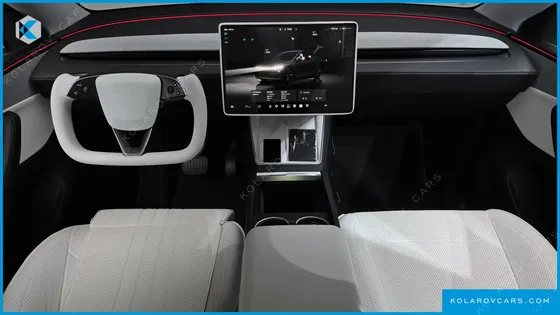TESLA MODEL Y RWD