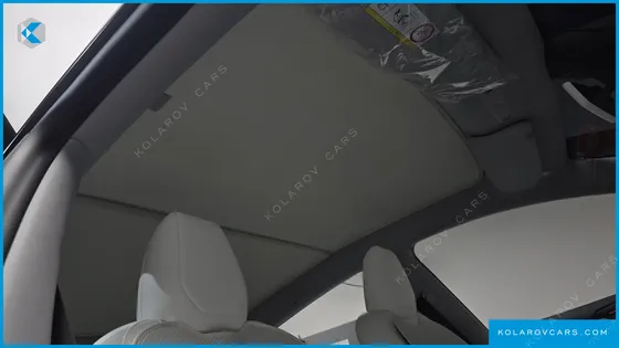 TESLA MODEL Y RWD