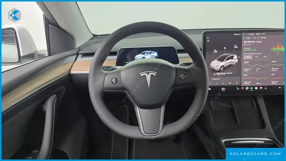 TESLA MODEL Y RWD