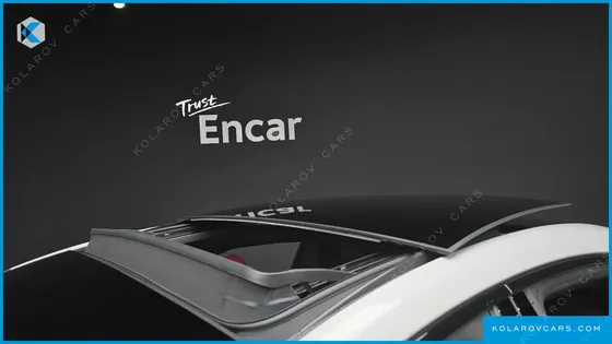 PORSCHE PANAMERA 2.9 AWD E-HYBRID PLATINUM EDITION
