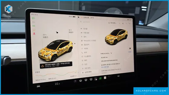TESLA MODEL Y RWD
