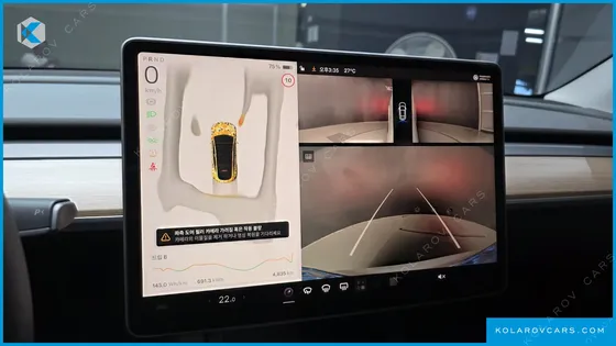 TESLA MODEL Y RWD
