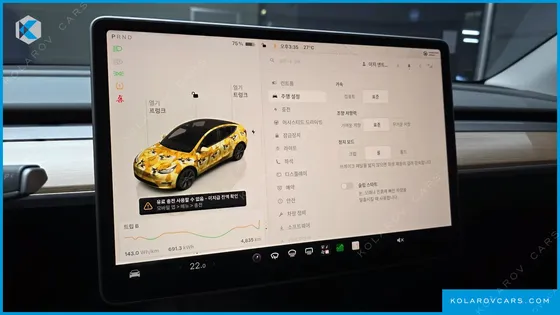 TESLA MODEL Y RWD