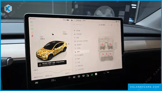TESLA MODEL Y RWD