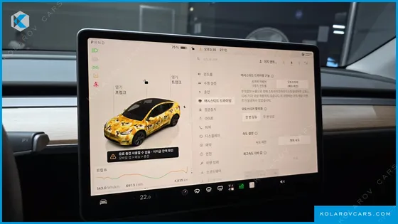 TESLA MODEL Y RWD