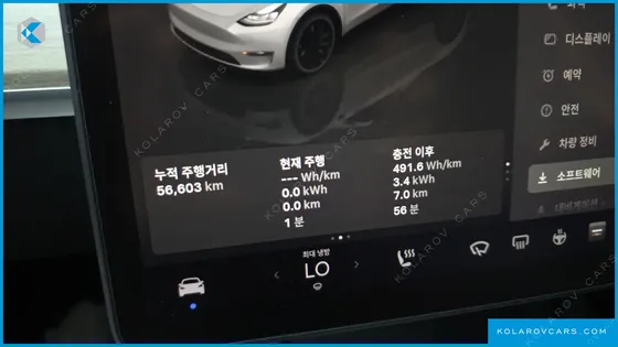 TESLA MODEL Y PERFORMANCE AWD