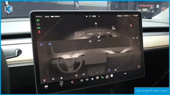 TESLA MODEL Y PERFORMANCE AWD