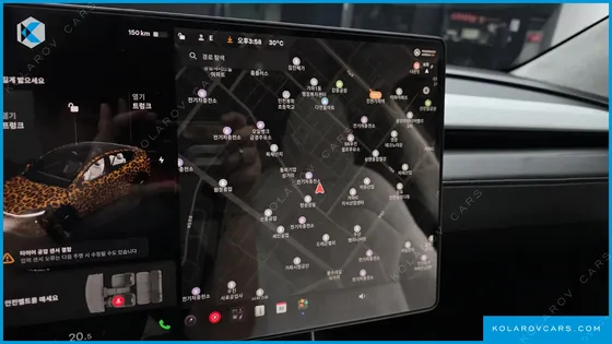 TESLA MODEL Y RWD