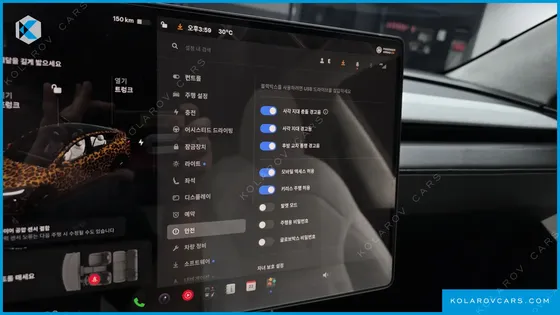 TESLA MODEL Y RWD