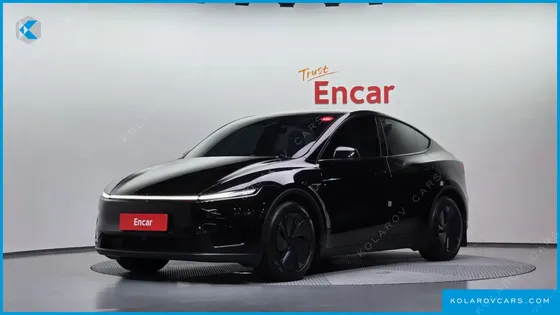 TESLA MODEL Y LONG RANGE AWD