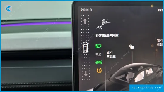 TESLA MODEL Y LONG RANGE AWD