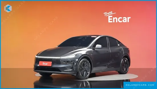 TESLA MODEL Y PREMIUM LONG RANGE AWD