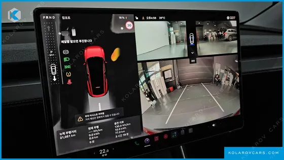 TESLA MODEL Y RWD