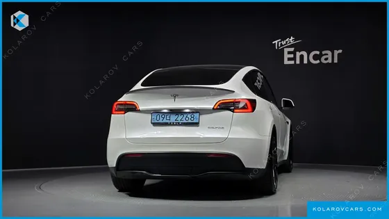 TESLA MODEL Y PERFORMANCE AWD