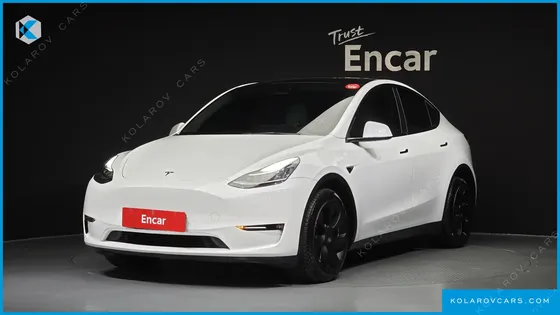 TESLA MODEL Y LONG RANGE AWD
