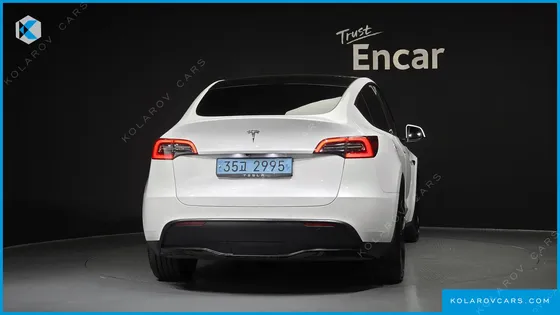 TESLA MODEL Y LONG RANGE AWD