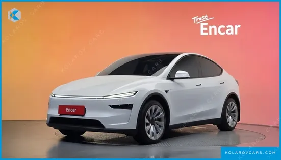 TESLA MODEL Y PREMIUM LONG RANGE AWD
