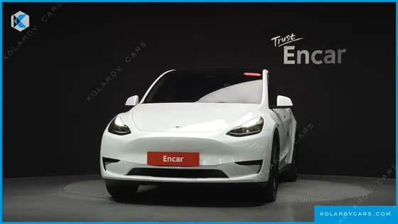 TESLA MODEL Y RWD