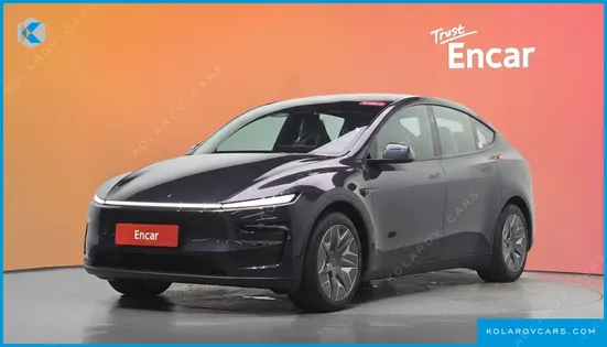 TESLA MODEL Y L LONG RANGE AWD