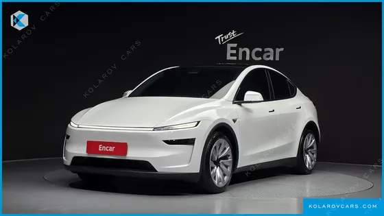 TESLA MODEL Y LONG RANGE AWD