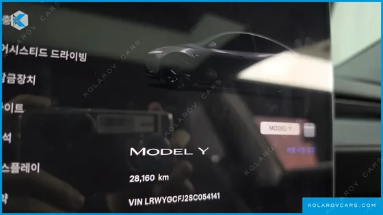 TESLA MODEL Y RWD