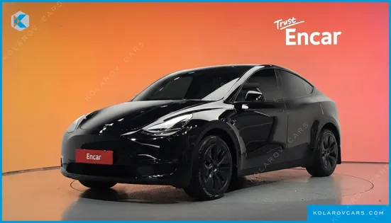 TESLA MODEL Y LONG RANGE AWD