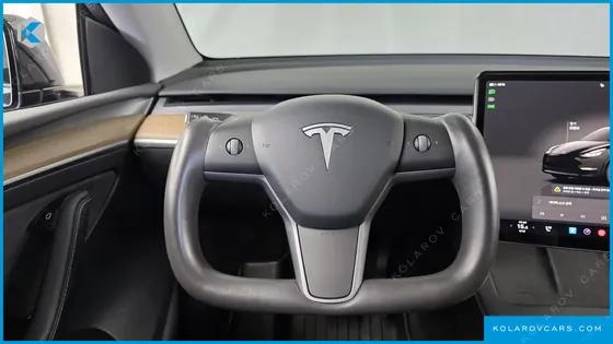 TESLA MODEL Y LONG RANGE AWD