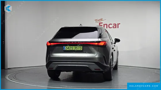 LEXUS RX LUXURY