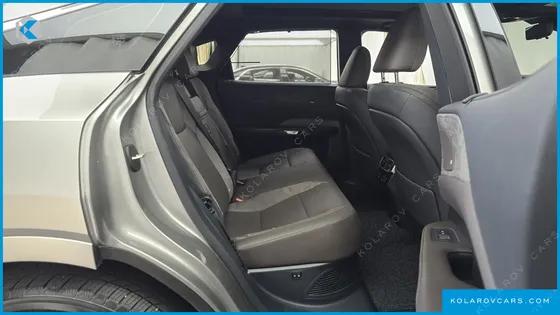 LEXUS RX LUXURY