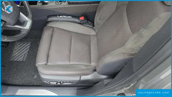 LEXUS RX LUXURY