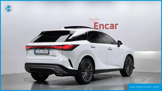 LEXUS RX LUXURY