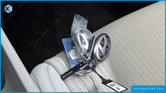 HYUNDAI GRANDEUR CALLIGRAPHY