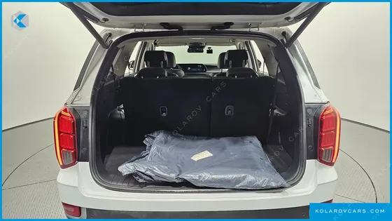 HYUNDAI PALISADE DIESEL 2.2 2WD