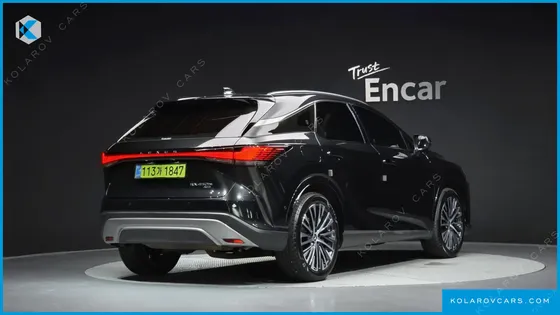 LEXUS RX LUXURY