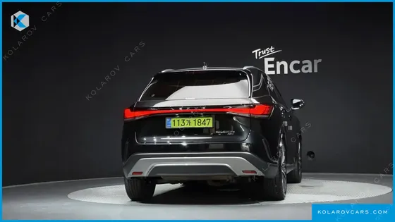 LEXUS RX LUXURY