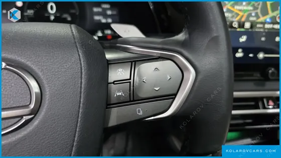 LEXUS RX LUXURY