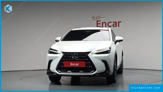 LEXUS NX PREMIUM