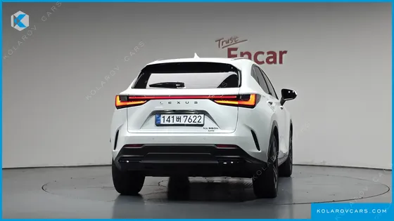 LEXUS NX PREMIUM