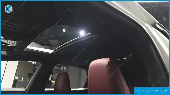 LEXUS NX PREMIUM