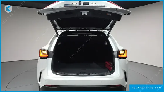 LEXUS NX PREMIUM