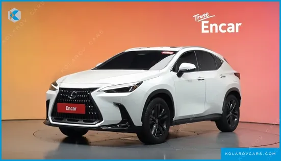 LEXUS NX PREMIUM